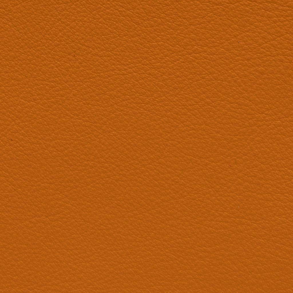 Elmosoft 54033