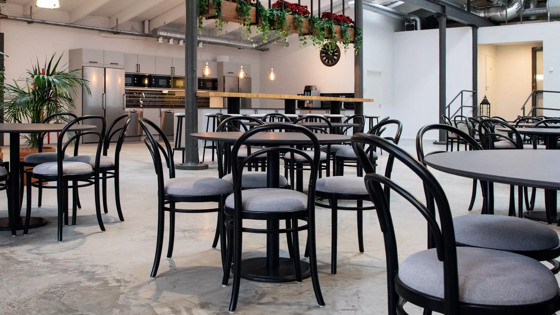 Omklädda Thonet-stolar hos Sandvik